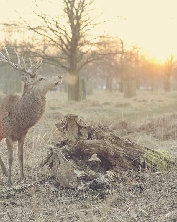 Име Фамилия