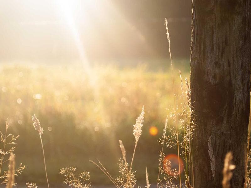 Грим за очи - Основи