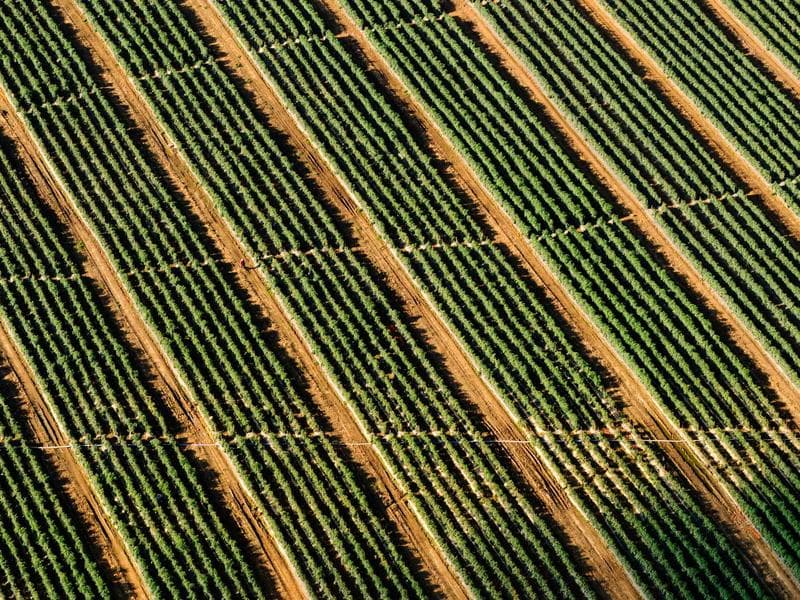 Radapola Fashion Show 2026